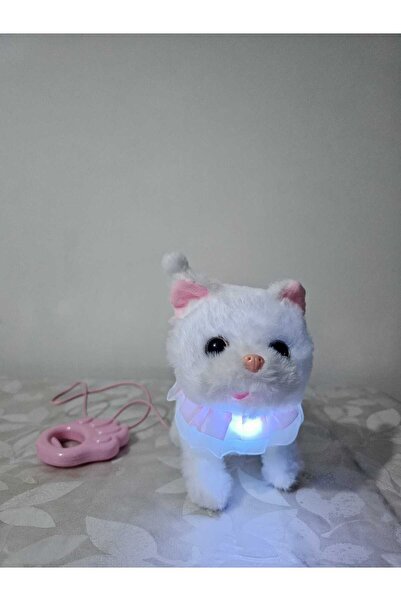 Diyar Sesli, Işıklı, Sözlerinizi Tekrar Edebilen, Yürüyen, Kuyruk Sallayan Kedi