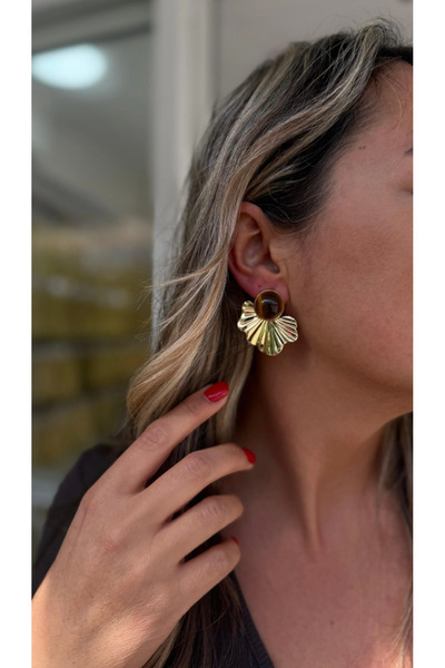 Nole&Co. Brown Stone Steel Earrings