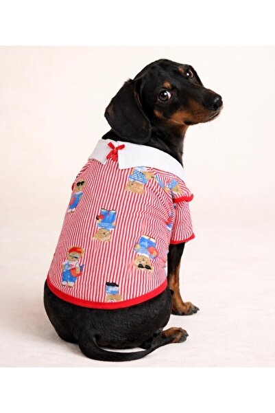 Alphadog Design Teddy Kedi Köpek Tişörtü