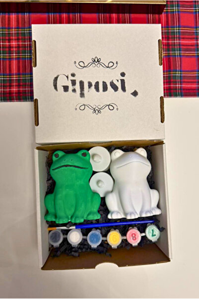 Giposi Fluffy Kurbağa Led Aydınlatmalı Boyama Seti