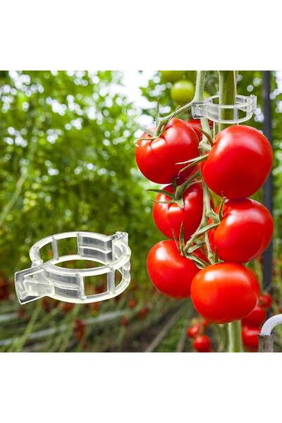 Magdeal Set of 100 plant clamps, support and guide clips, made of reusable pl...