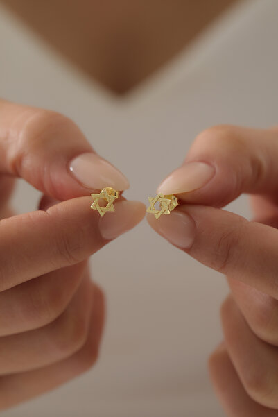 SUNSHINE 925 Ayar Gümüş ,Gold Kaplamalı Davut Yıldızı Minimal Tasarım Küpe