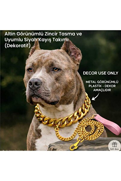aurellen Gold Zincir Köpek Tasması ve Zincir Kayış - Dekoratif Plastik Zincir...