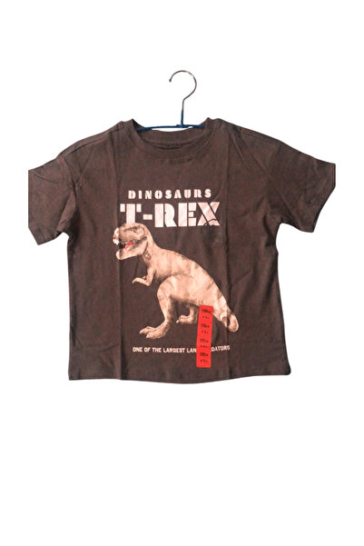 JURASSIC WORLD Βαμβάκι T-Rex με κοντό μανίκι από βαμβάκι 116 CM 5-6 ετών γκρι