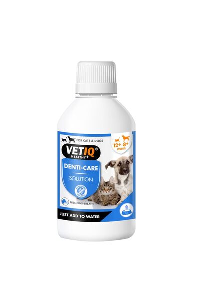Vetiq Denti Care Diş Bakım Solusyonu 250 Ml