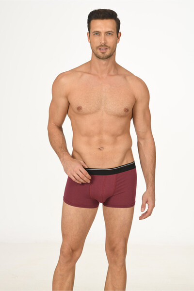 NBB Men's, burgundy, 6-pack Modal boxer