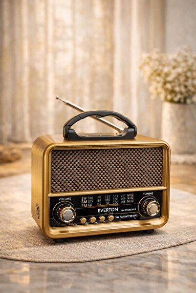 MEMİTA Everton RT-706 Nostalji Radyo güneş panelli – FM/AM/SW Bluetooth, USB ...