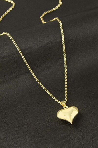 Bijuteri Net Heart Shaped Pendant Necklace