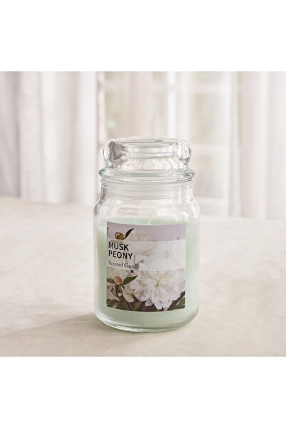 Home Box شمعة قارا كولونيال مسك بيوني - 530 غرام