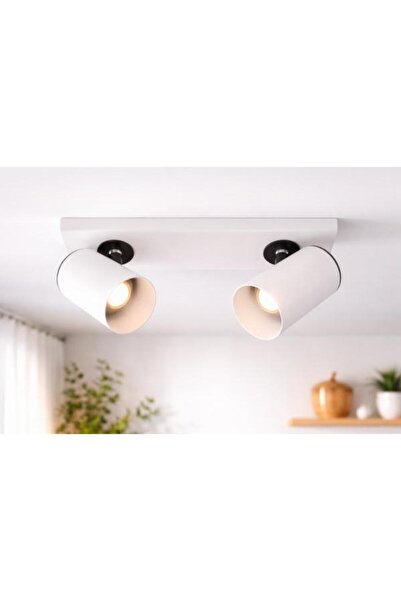 DBR Wall lamp, metal ceiling light, modern, with 2 adjustable bulbs, 60 W, Gr...