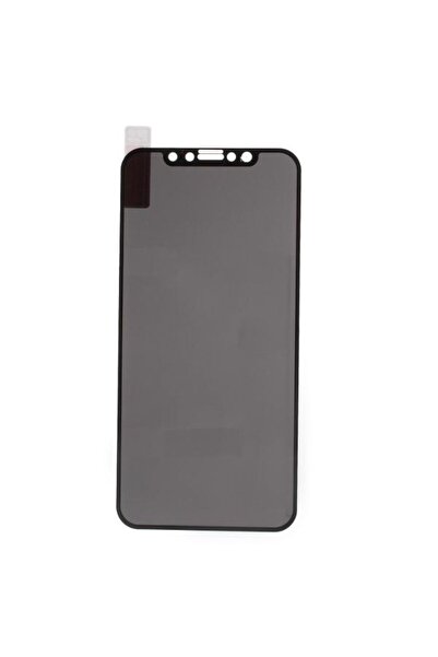 OEM Geam Protectie Display Iphone X / XS / 11 Pro Acoperire Completa Anti Spy...
