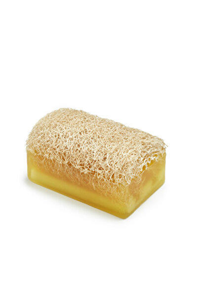 bitki diyarı Tea tree extract milk & pumpkin fiber soap - single pack