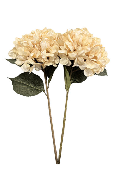 Lara Decor Krem Soft 2'li Ortanca Çiçek