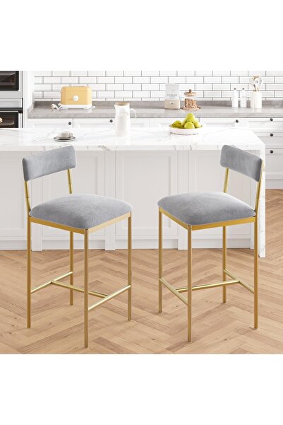 Garvee Dining Chairs Set of 2 with 3 Storage Shelves,Pub Chairs Set,Kitchen C...