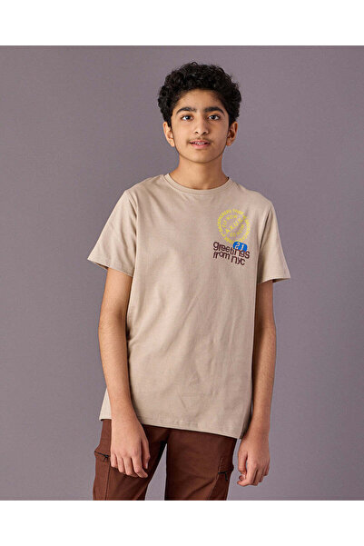REDTAG Senior Boys Beige Printed T-Shirts