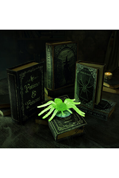 FAMİLY Glow-in-the-dark Halloween decoration - spider - suction cup - 8 x 5 c...