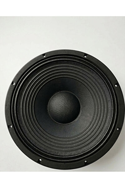 ACE 15 INCH Hoparlör (SPA1508)