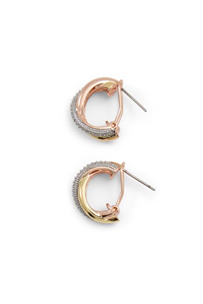 Aldo هاليتيريل