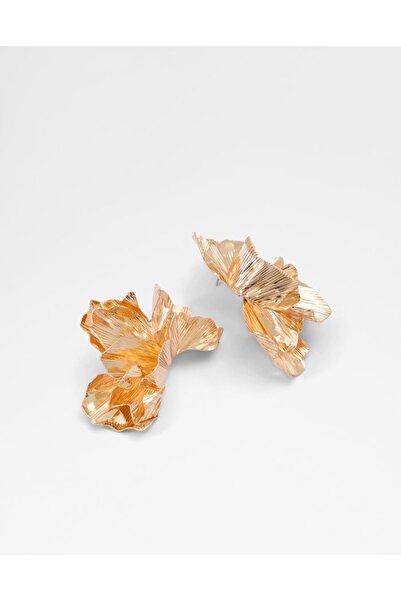 Aldo توهج / إكسسوارات