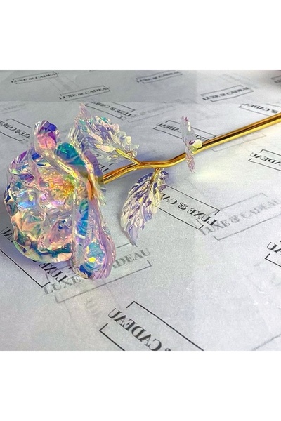 Gülfa Giftbox Sevgiliye Anneye Öğretmene Arkadaşa Hediye Hologramlı Sonsuzluk...