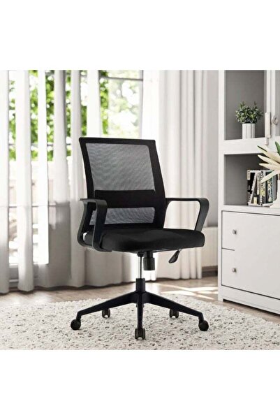 rayze Ergonomic Home/Office Mesh Chair