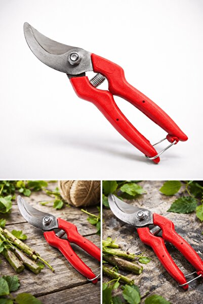 Akman Narenciye ve Bağ Makası 210 mm - Budama El Aleti