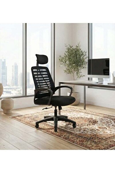 rayze Ergonomic Home Office Chair
