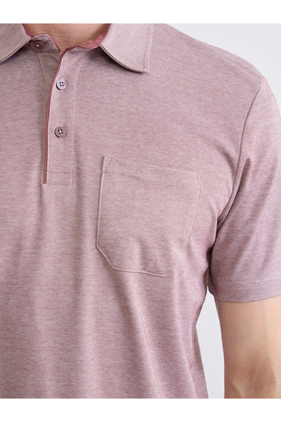 LC Waikiki Tricou pentru bărbați cu mânecă scurtă și guler polo, roșu claret ...