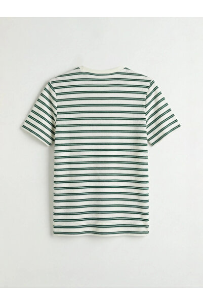 LC Waikiki Ανδρικό μπλουζάκι Green Crew Neck Ριγέ