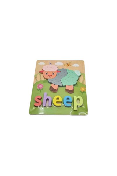 decotoys Puzzle lemn 3D broasca
