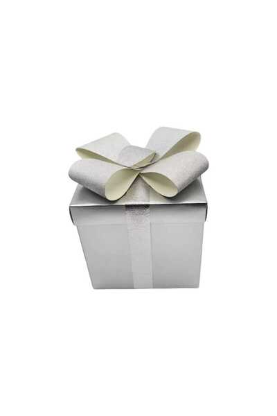 decotoys Decorative silver cardboard box 20cm 2/set