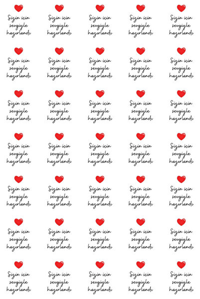 Bimotif 50li Büyük Boy Hediye Paketi Seti, Puantiyeli Kese Kağıdı (18x30cm) ve 70 adet Sticker