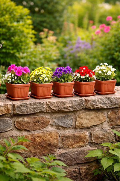 Binbirreyon 5 Adet Saksı Terracota Tabaklı Saksı Kare 0,5Lt 11x11x9cm AH194