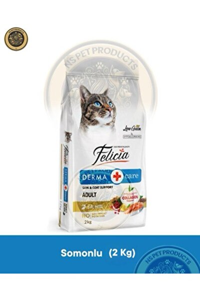 Felicia Derma Care Adult Salmon-Collagen 2 kg (Az Tahıllı & Hipoalerjenik Som...