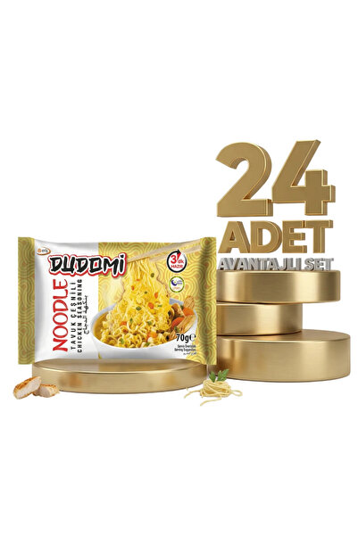 DUDOMİ Tavuk Çeşnili Noodle 24x70 Gr