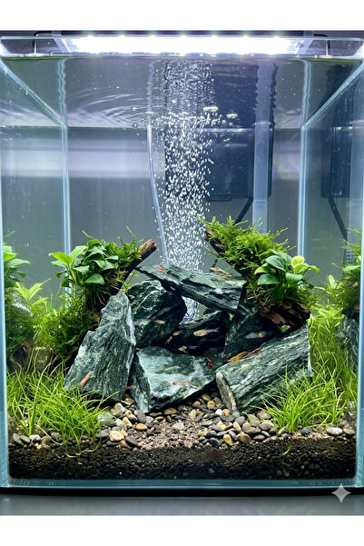Ecdconcept Greenangel Akvaryum Kaya Doğaltaş, 5 Adet 5-15 cm Yavru Balık Kari...
