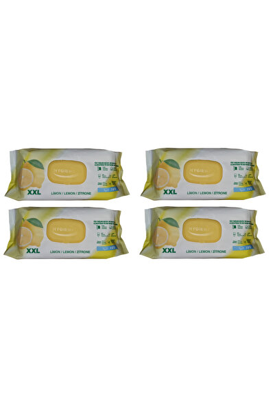 HYGIENA Χαρτοπετσέτες τύπου Laveta xxl, 4 x 100 bucati, για καθαρισμό επιφανε...