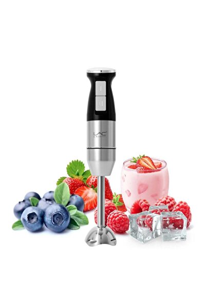 LAC LAICHY Handheld Blender for Kitchen, 300W Stainless Steel, 2 Speeds, Grey