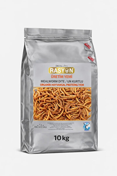 delta rasyon Un Kurtlu Yüksek Proteinli Kuş Üretim Yemi - 10 KG Toz Yem