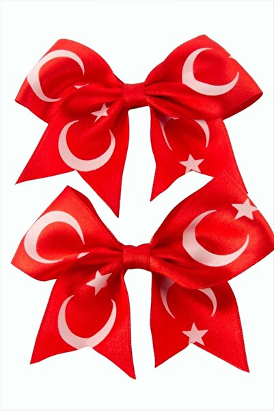 Bijuteri Net Moon Star Fiyong Pens Buckle 2 Pieces