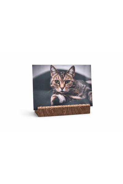 BESİNG Kartlık Stand – Fotoğraf & Not Tutucu Masa Üstü 3D Baskı
