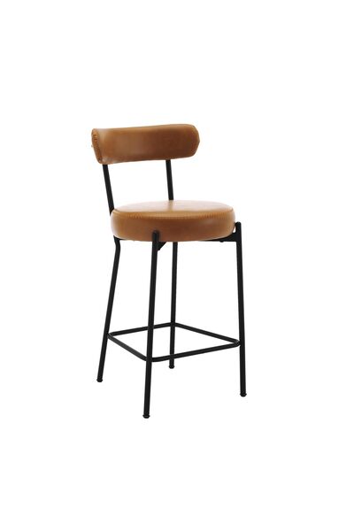 Garvee Set of 2 Bar Stools-Backrest & Footrest, Modern Metal Bar Chairs-Ideal