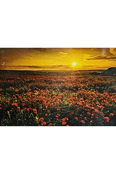 EleganTShoP 5D Yapışan Boncuk Mozaik Tablo 30*40 cm XQH90706