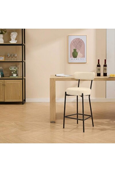 Garvee Set of 2 Bar Stools-Backrest & Footrest, Modern Metal Bar Chairs-Ideal