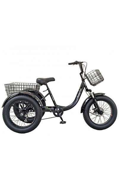 BR CYCLES Adult tricycle 20" Pro2008-TR20, 16" steel frame, disc brakes, 7 sp...