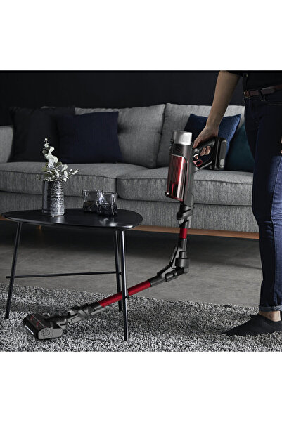 Rowenta X-Force Flex 9.60 Îngrijire Animale