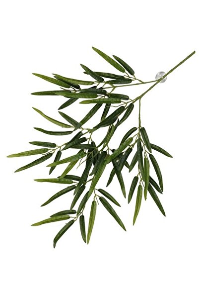 Terra D'Ella Hanging Plant Bamboo