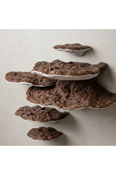 mekatris3d Ganoderma Mantar Duvar Rafı - Boho Dekoratif Organizer