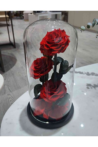 Feryal Al Bastaki Flowers