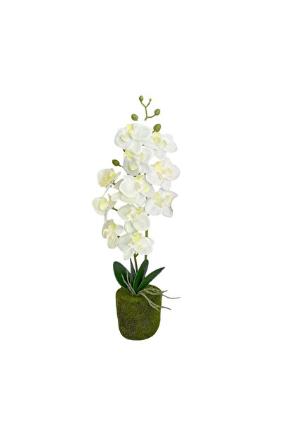 Koopman Artificial Plant White Orchid 40 cm, with white flowers and green lea...